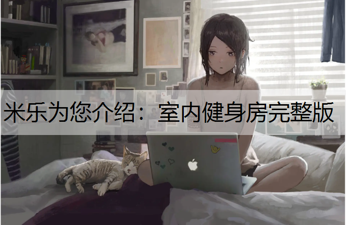 <strong>米乐为您介绍：室内健身房完整版</strong>