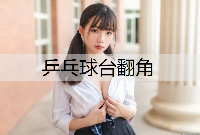<strong>乒乓球台翻角</strong>