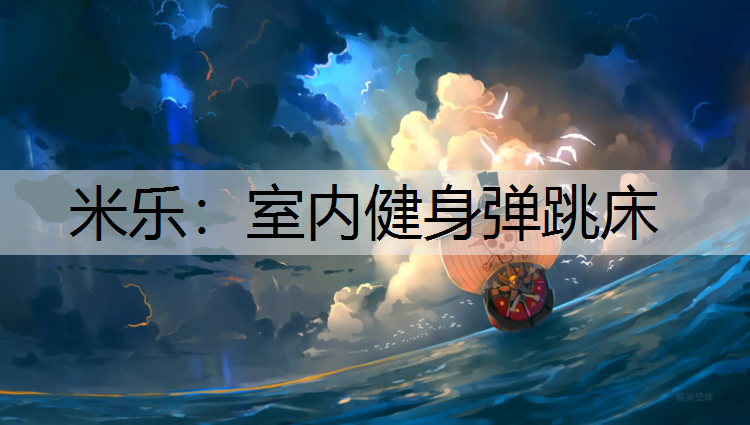 米乐：室内健身弹跳床