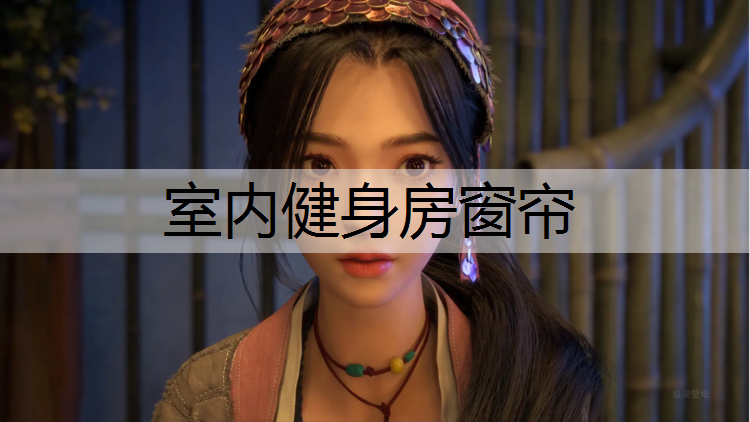 <strong>室内健身房窗帘</strong>