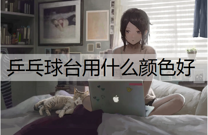 <strong>乒乓球台用什么颜色好</strong>