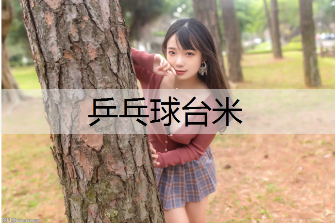 乒乓球台米